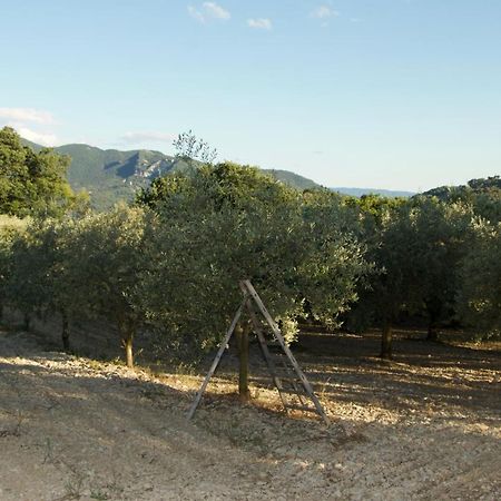 Mas Provencal La Serallere Au Coeur Des Oliviers Venterol  Buitenkant foto
