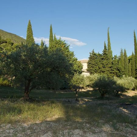 Mas Provencal La Serallere Au Coeur Des Oliviers Venterol  Buitenkant foto