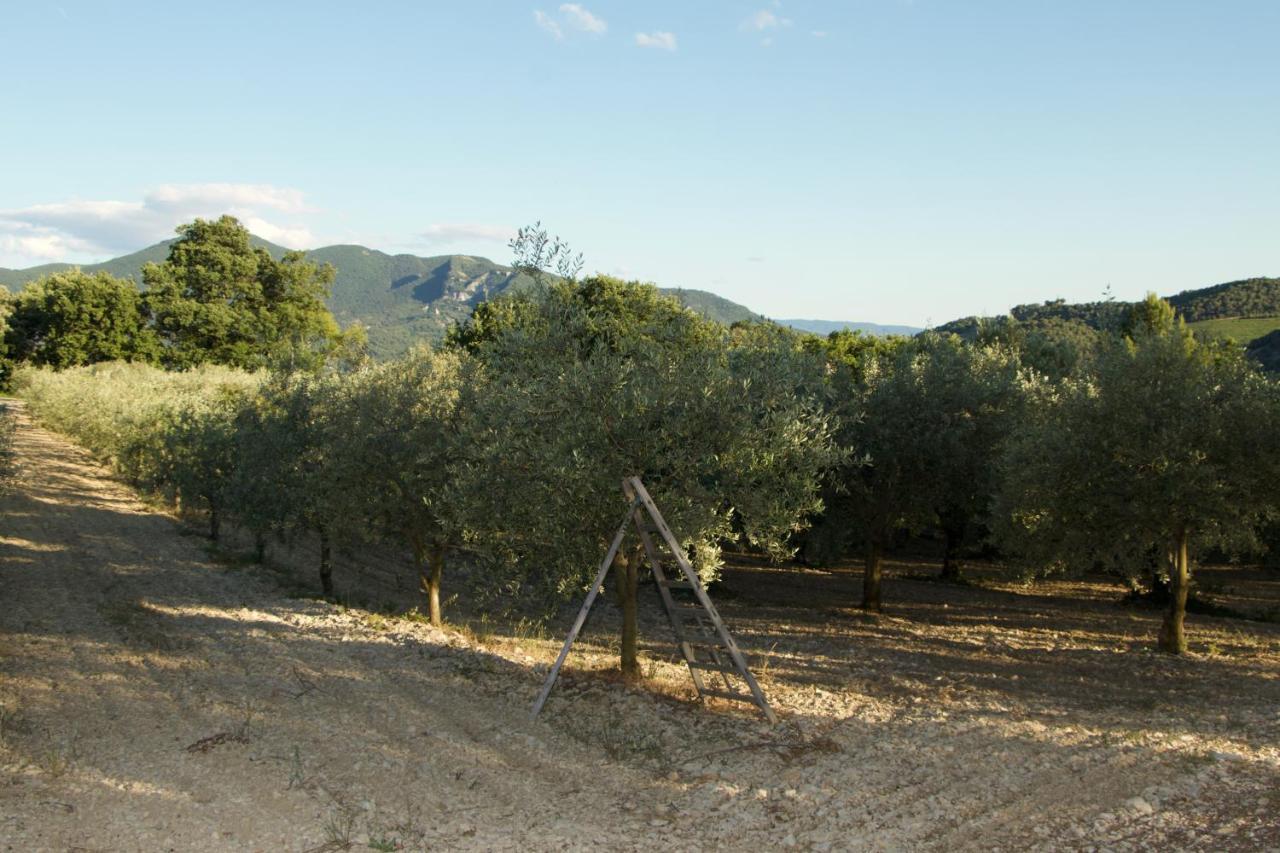 Mas Provencal La Serallere Au Coeur Des Oliviers Venterol  Buitenkant foto