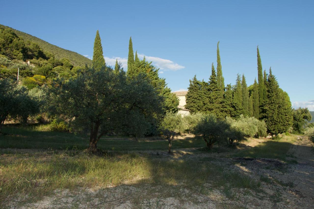 Mas Provencal La Serallere Au Coeur Des Oliviers Venterol  Buitenkant foto